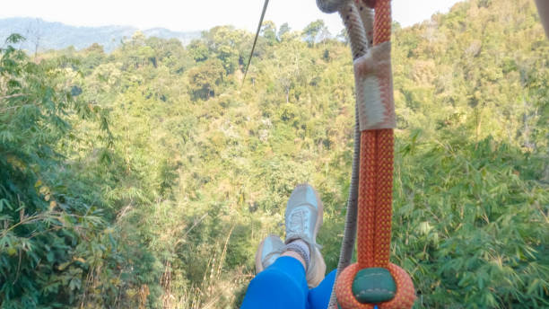 durch die baumwipfel: das pov-zip-lining-abenteuer einer frau im regenwald von laos - ziplining zip line outdoors zip lining stock-fotos und bilder