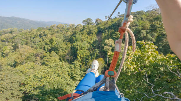 through the treetops: a woman's pov zip-lining adventure in laos' rainforest - zip lining stock-fotos und bilder