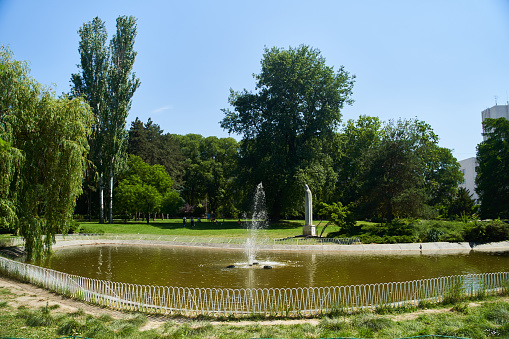 Pond with fountain in the park in Novi Sad, Serbia. High quality photo