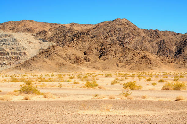 istock Central and Bleak Sonora Desert Arizona 2080927530