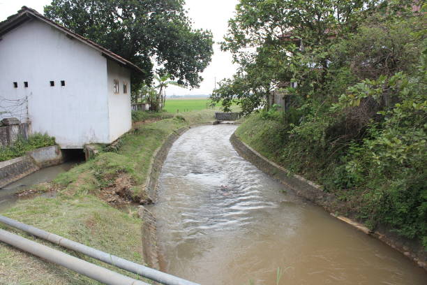 istock the river next to the house 2080955079