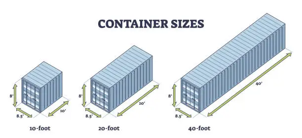Vector illustration of Container sizes comparison with different foot dimensions outline diagram