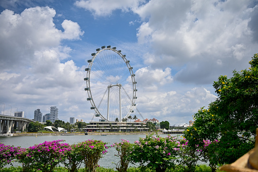 singapore flyer view from garden by the bay