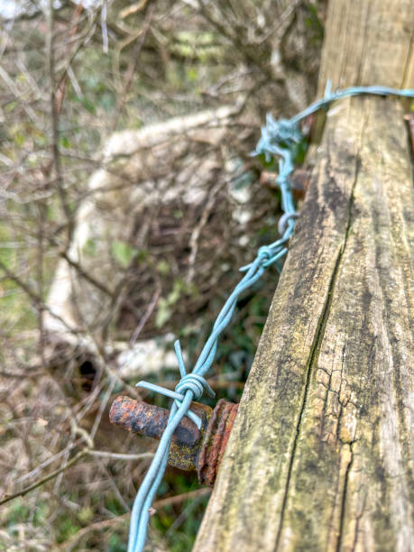 Green barbed wire along wooden post