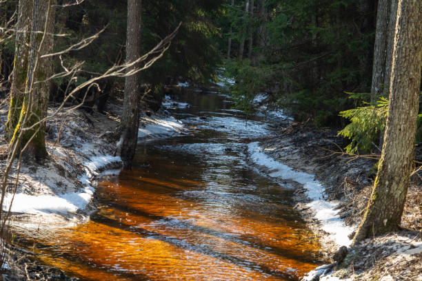 istock Sunlit Winter Stream Flowing Through Snowy Forest 2080978403