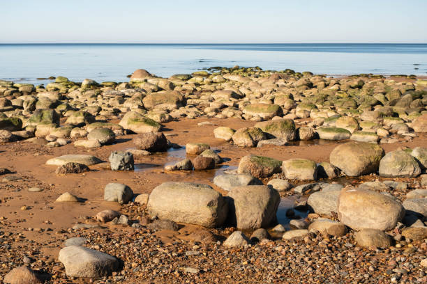 A serene rocky shoreline under the clear blue sky.