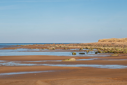 A tranquil beach scene with tidal pools amidst rocks and a clear blue sky.