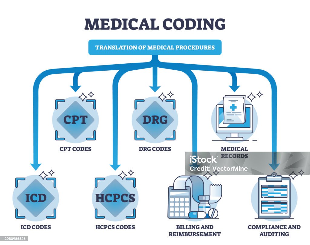 Medical Coding And Translation Of Medicine Health Procedures Outline ...