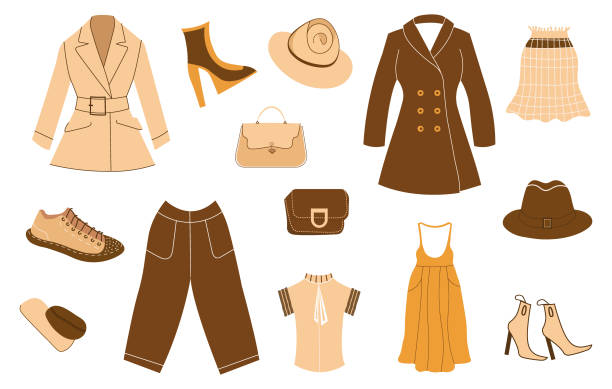 istock Set of a fashionable women's clothing and accessories. Vector illustration. 2081038584