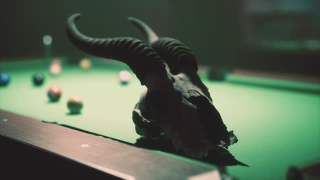 A bull's head on a pool table