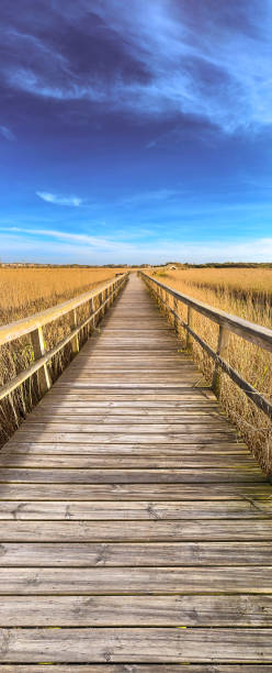 istock Wooden structure on the footbridges 2081050722