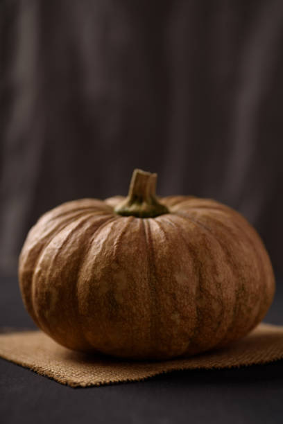 Local pumpkins are placed on a brown linen cloth on a black wooden background stock photo