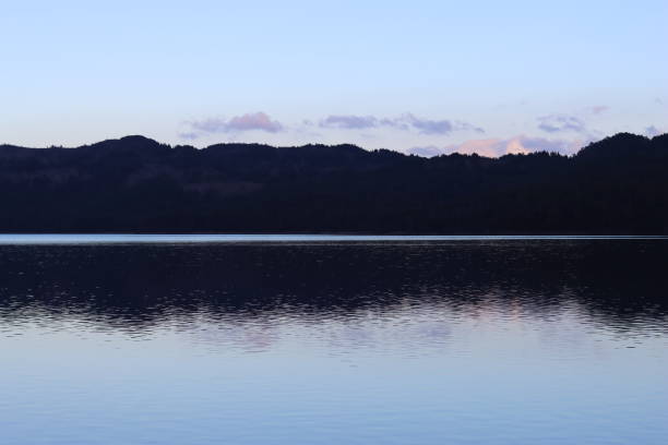 tree line on the edge of a loch reflected in the water, against a clear blue sky - treelined forest at the edge of scenics photos et images de collection