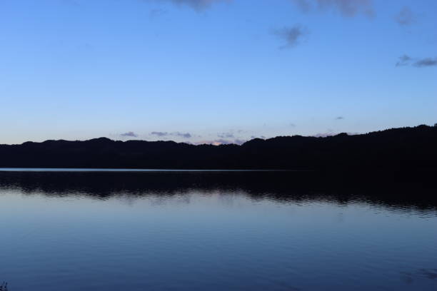linha de árvore na borda de um lago refletida na água, contra um céu azul claro - treelined forest at the edge of scenics - fotografias e filmes do acervo