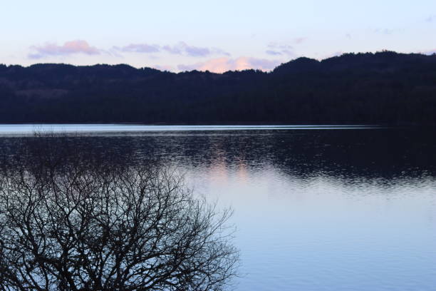 tree line on the edge of a loch reflected in the water, against a clear blue sky - treelined forest at the edge of scenics stock-fotos und bilder