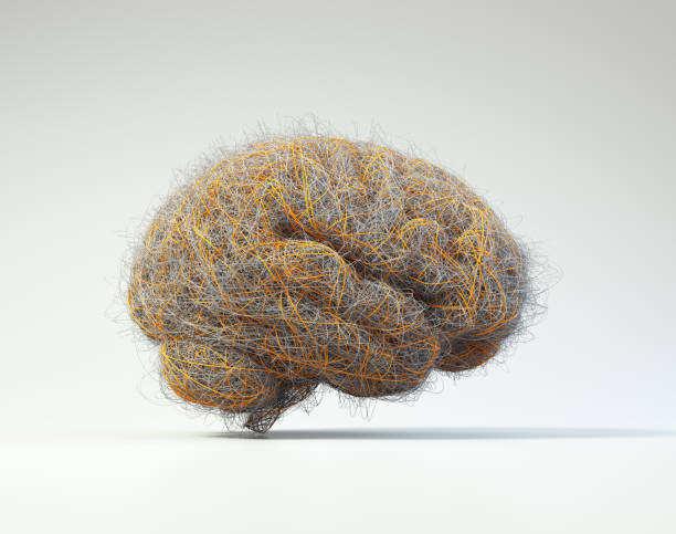 istock Brain filled with wires suggesting the complexity of the human mind or brainstorm. 2081089373