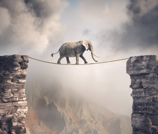 istock Elephant walks on rope above a gap between two mountain peaks. 2081089878