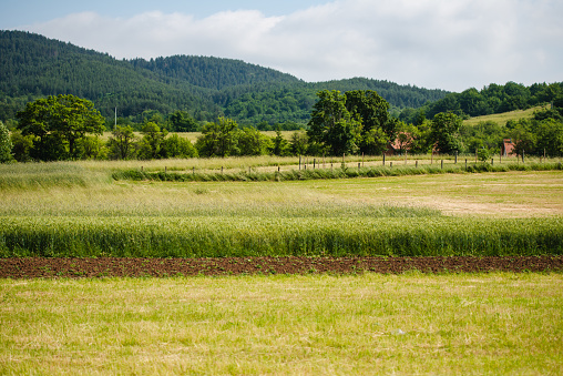 Chevreuse Valley France  Field Forest Horizon Line Above Earth  Cloudless  Sky