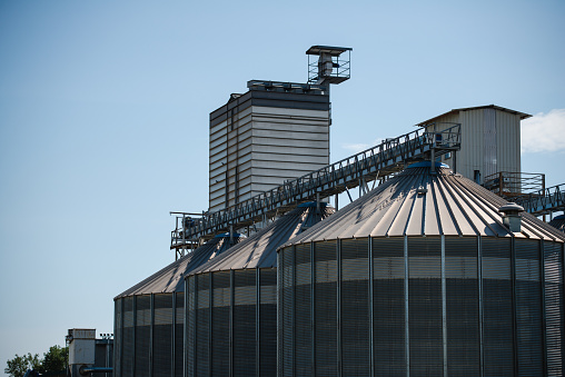 Farm, barley field with grain silos for agriculture