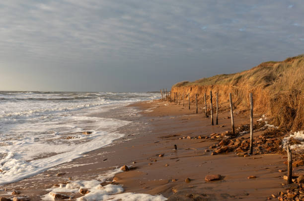 erozja plaży i wydm w les sables d'olonne - côte d'or zdjęcia i obrazy z banku zdjęć