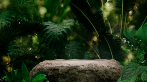 istock Stone table top in jungle forest with blur palm tree. Natural tropical scene for organic product placement podium background. 2081121797