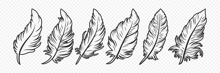 Vector Black and White Fluffy Feather Logo Icons. Silhouette Feather Set Closeup Isolated. Design Template of Flamingo, Angel, Bird Feather. Lightness and Freedom Concept.