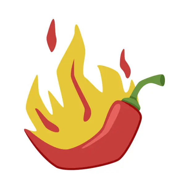 Vector illustration of Hot Red Chili Pepper in Fire with Bright Flame Vector Illustration