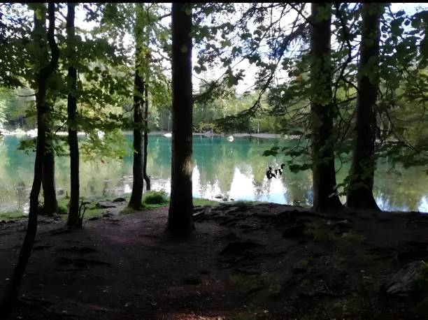 40+ Lac Vert Photos Stock Photos, Pictures & RoyaltyFree Images iStock