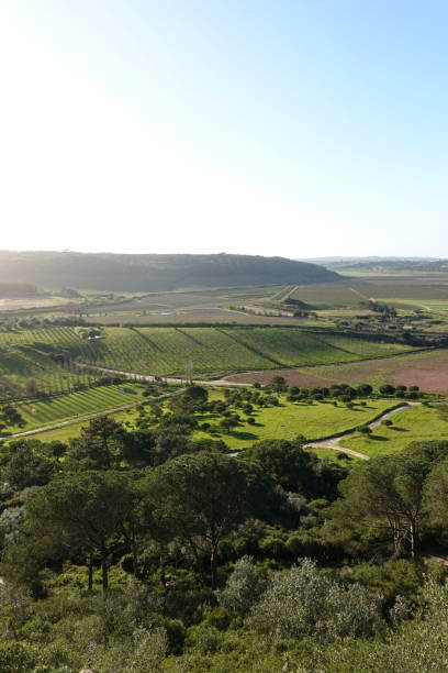 istock Dreamy landscape near Obidos city 2081268164