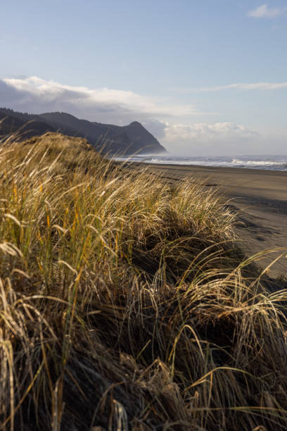 istock A beach with a mountain in the background 2081272992