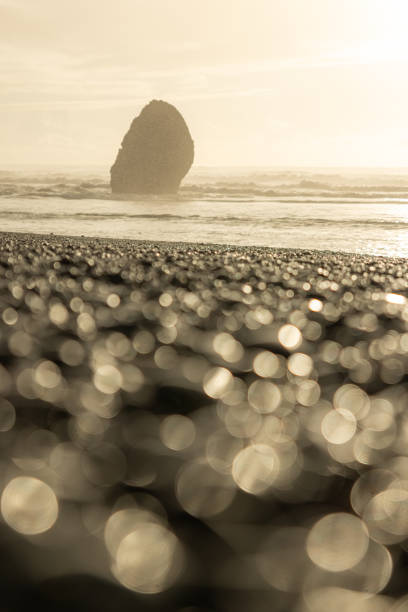 A rocky beach with a large rock in the foreground. The rock is surrounded by a blurry background, giving the image a dreamy, ethereal quality. The water in the background is calm