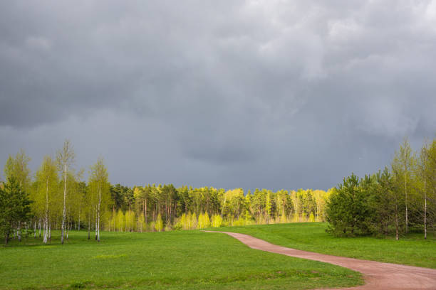 Spring forest and green grass against the background of thunderstorm clouds. Spring natural landscape.