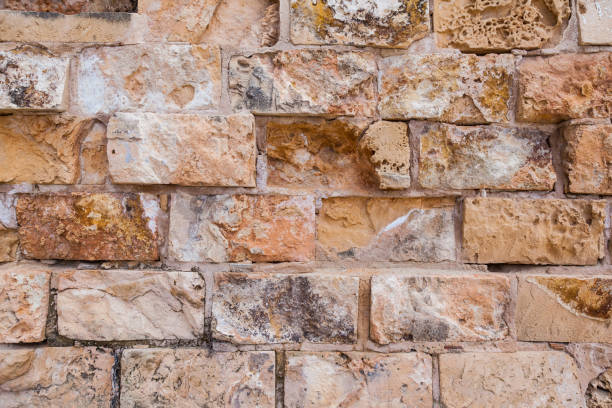 istock Stone wall made of natural seashell stone. 2081288155