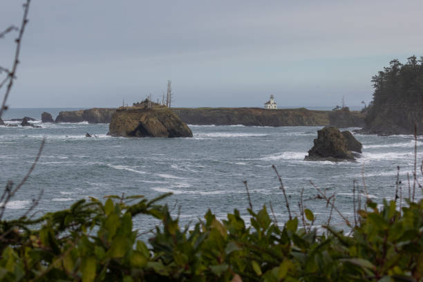 istock A rocky shoreline with a lighthouse in the distance 2081289827