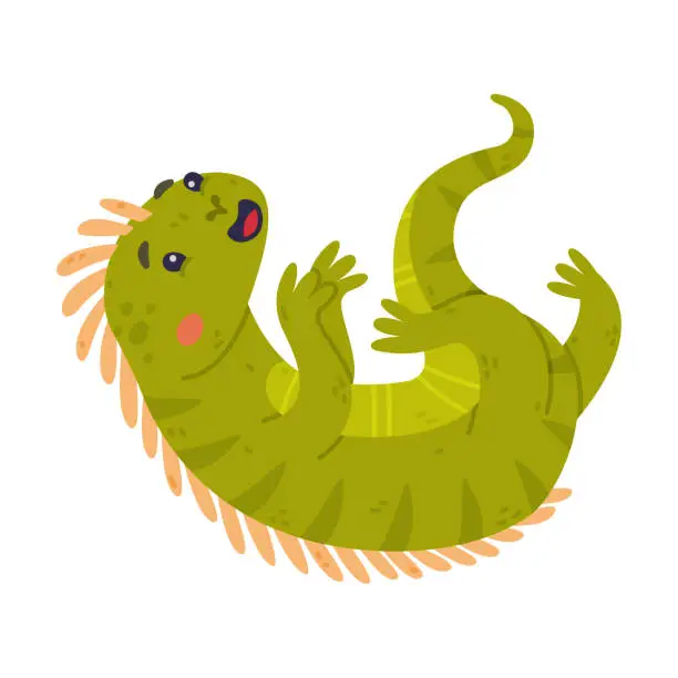 Vector illustration of Funny Green Iguana Character with Scales Rolling on Its Back Vector Illustration