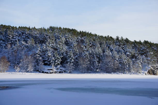 istock Norwegian Outdoors Stock 2024.02.11 Gloesvaag 0004 2081312591