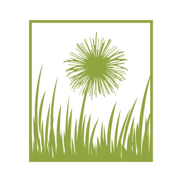 Vector illustration of Square Beauty Dandelion Flower Grass Illustration Design Vector