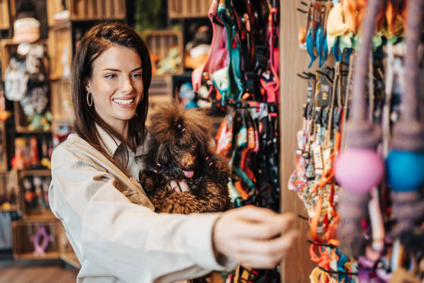 istock Young woman with poodle in pet shop 2081325521
