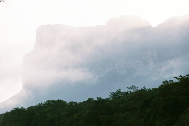 Beautiful sunshine at misty morning mountains .