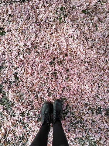 Personal perspective of woman's feet standing on pink blossoms