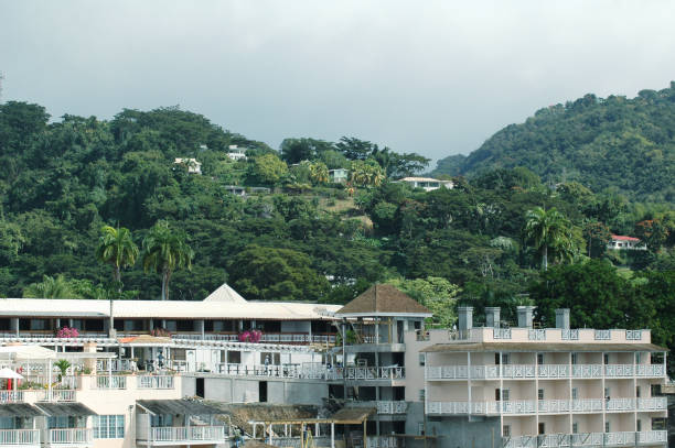 istock Dominica Island Coastal Resort and Lush Greenery 2081347449