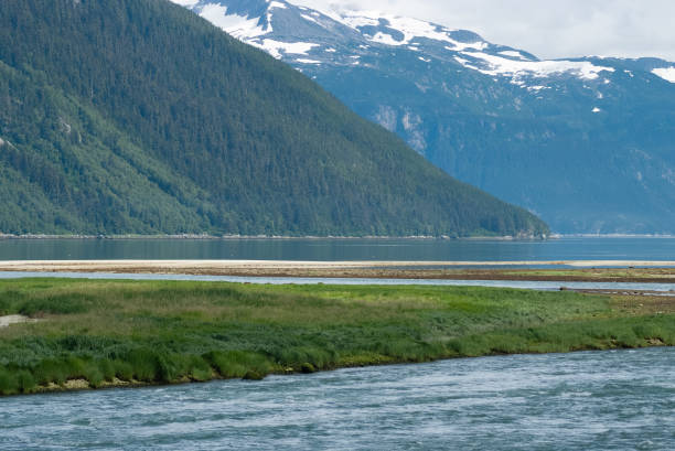 istock Scenic Riverfront View in Haines, Alaska Landscape 2081347460
