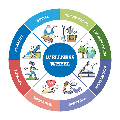 Wellness wheel with personal divisions with areas of life outline diagram. Labeled educational scheme with social, financial, emotional and intellectual groups for happiness vector illustration.