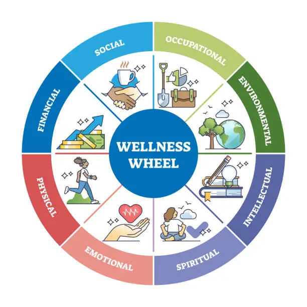 Vector illustration of Wellness wheel with personal divisions with areas of life outline diagram