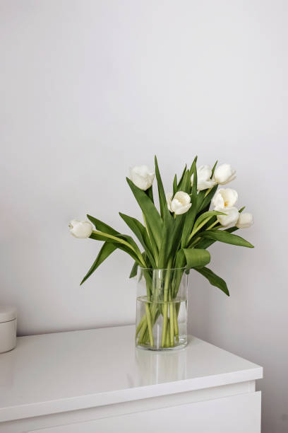 istock White tulips in the vase, minimalist interior 2081399698