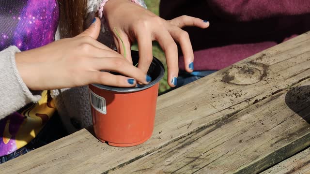 young girl hands planting a plant in a pot with her friend on wooden surface on a sunny day