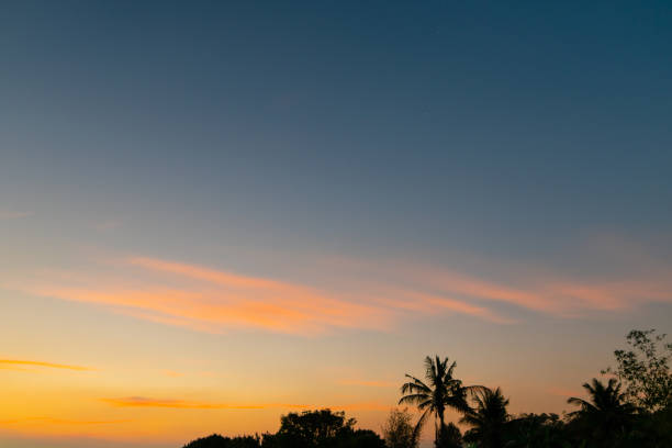 istock Twilight blue and gold yellow sky with smooth clouds, Darkness Silhouette coconut tree at sunset Abstract nature background 2081407701