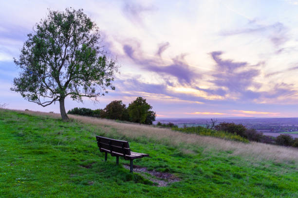 istock Sunset of bench, tree, and countryside, in Dunstable Down 2081415260