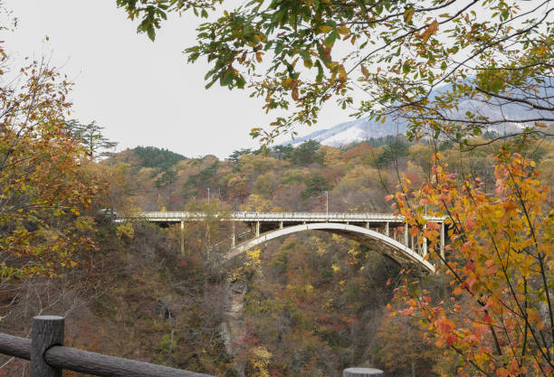 istock Bridge passing through Naruko Gorge in autumn season. 2081423233