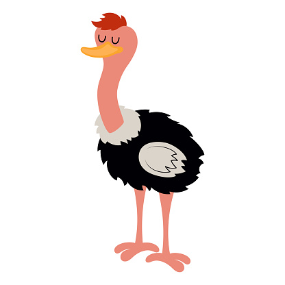 cute ostrich in flat style isolated on white background, cartoon vector illustration, farm animal